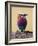 Lilac-Breasted Roller, Maasai Mara, Kenya-Joe Restuccia III-Framed Photographic Print