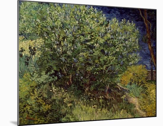 Lilac Bush, 1889-Vincent van Gogh-Mounted Art Print