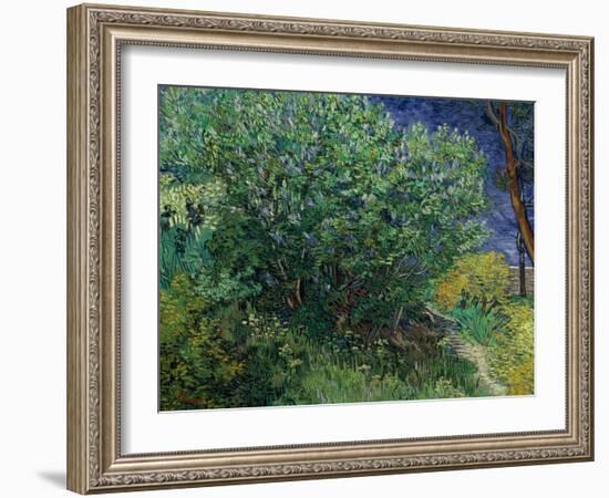 Lilac Bush, 1889-Vincent van Gogh-Framed Giclee Print