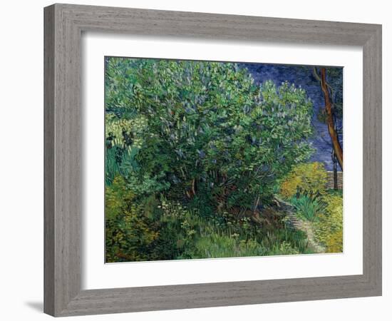 Lilac Bush, 1889-Vincent van Gogh-Framed Giclee Print