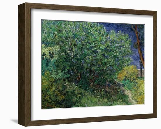 Lilac Bush, 1889-Vincent van Gogh-Framed Giclee Print
