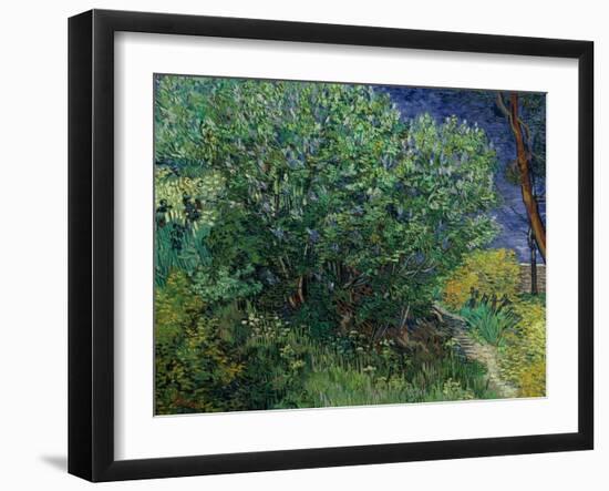 Lilac Bush, 1889-Vincent van Gogh-Framed Giclee Print