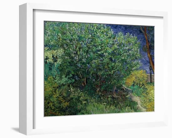 Lilac Bush, 1889-Vincent van Gogh-Framed Giclee Print