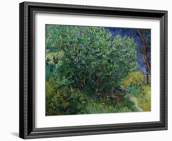 Lilac Bush, 1889-Vincent van Gogh-Framed Giclee Print