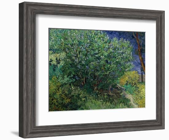 Lilac Bush, 1889-Vincent van Gogh-Framed Giclee Print