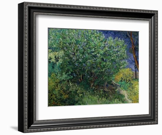 Lilac Bush, 1889-Vincent van Gogh-Framed Giclee Print