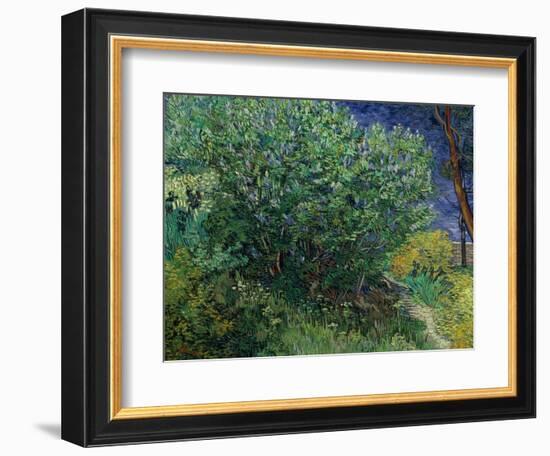 Lilac Bush, 1889-Vincent van Gogh-Framed Giclee Print