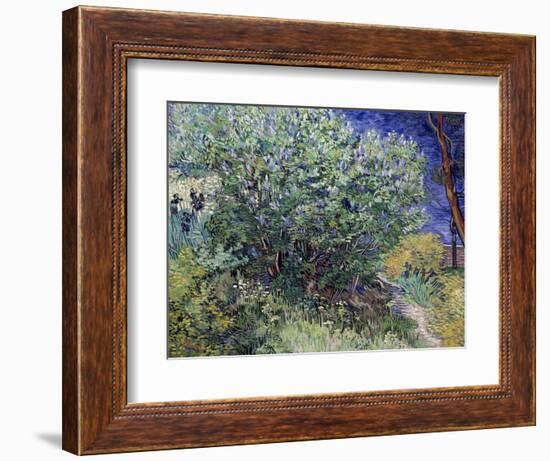 Lilac Bush, 1889-Vincent van Gogh-Framed Giclee Print