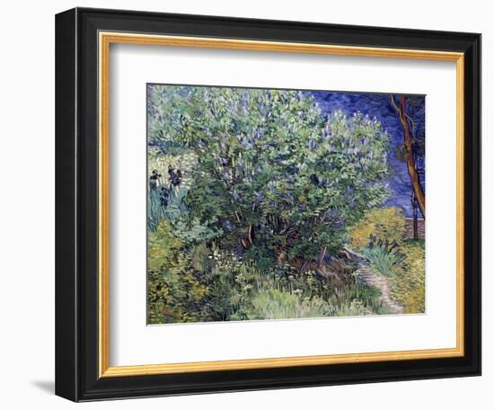 Lilac Bush, 1889-Vincent van Gogh-Framed Giclee Print