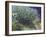 Lilac Bush, 1889-Vincent van Gogh-Framed Giclee Print