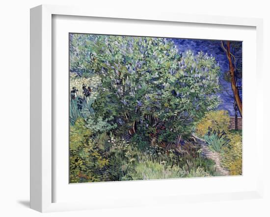 Lilac Bush, 1889-Vincent van Gogh-Framed Giclee Print