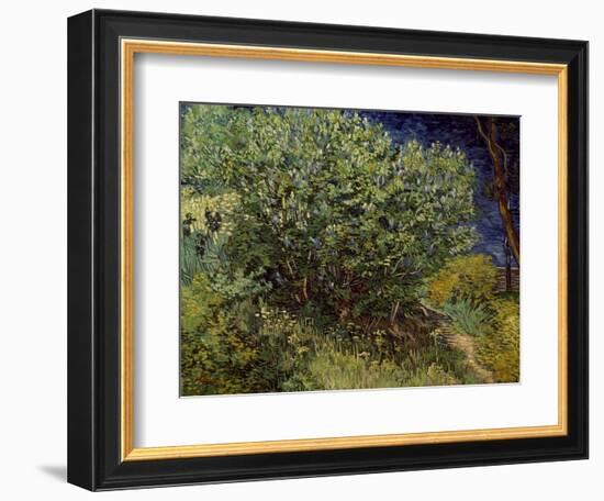 Lilac Bush, 1889-Vincent van Gogh-Framed Art Print