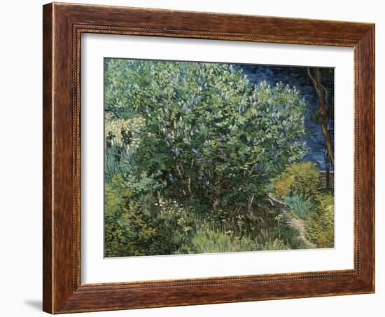 Lilac Bush-Vincent van Gogh-Framed Giclee Print