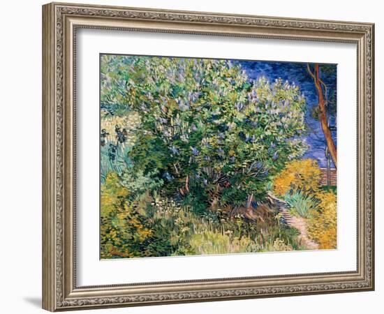 Lilac Bush-Vincent van Gogh-Framed Art Print