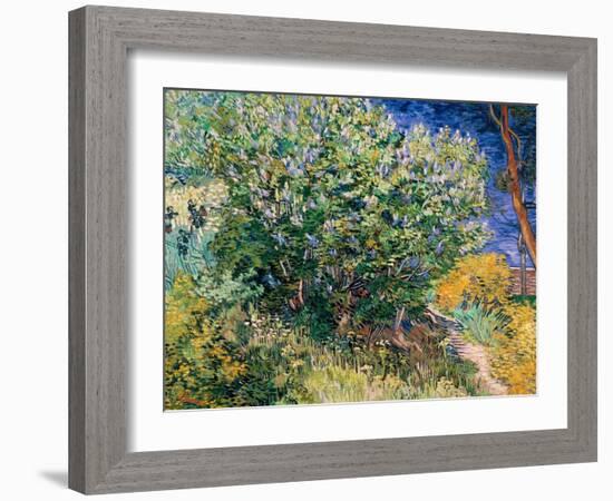 Lilac Bush-Vincent van Gogh-Framed Art Print