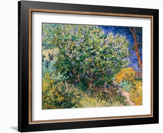 Lilac Bush-Vincent van Gogh-Framed Art Print