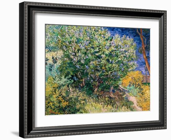 Lilac Bush-Vincent van Gogh-Framed Art Print