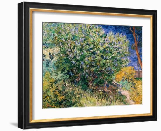 Lilac Bush-Vincent van Gogh-Framed Art Print