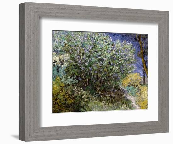 Lilac Bush-Vincent van Gogh-Framed Art Print