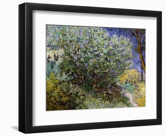 Lilac Bush-Vincent van Gogh-Framed Art Print