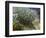 Lilac Bush-Vincent van Gogh-Framed Art Print