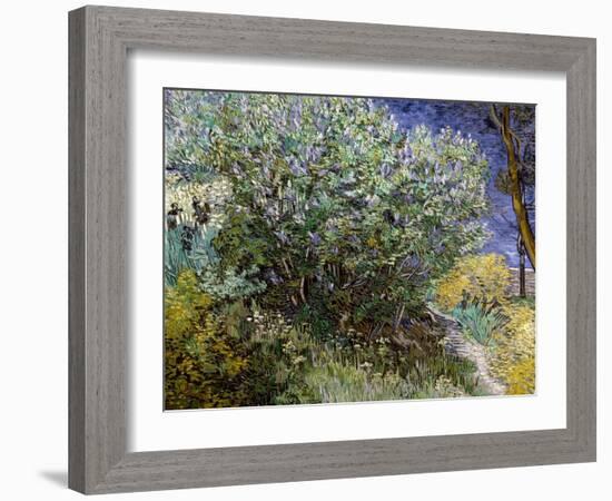 Lilac Bush-Vincent van Gogh-Framed Art Print