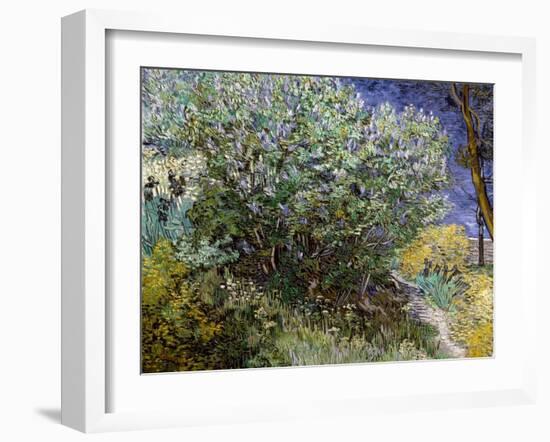 Lilac Bush-Vincent van Gogh-Framed Art Print