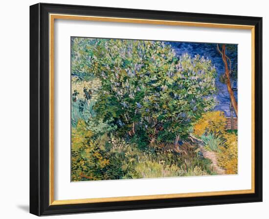 Lilac Bush-Vincent van Gogh-Framed Giclee Print