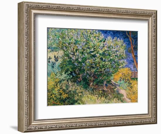 Lilac Bush-Vincent van Gogh-Framed Giclee Print