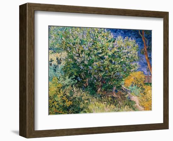 Lilac Bush-Vincent van Gogh-Framed Giclee Print