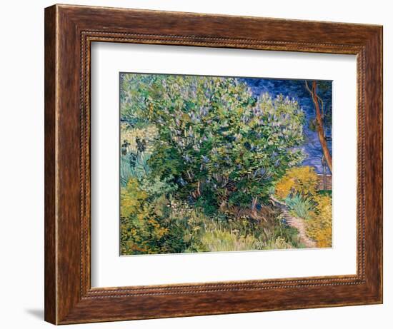 Lilac Bush-Vincent van Gogh-Framed Giclee Print