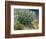 Lilac Bush-Vincent van Gogh-Framed Giclee Print