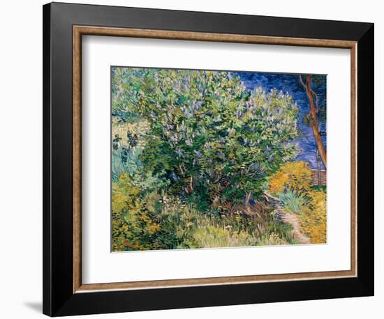 Lilac Bush-Vincent van Gogh-Framed Giclee Print