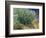 Lilac Bush-Vincent van Gogh-Framed Giclee Print