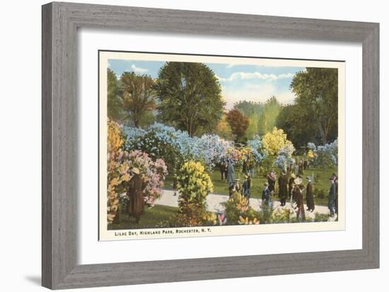 Lilac Day, Highland Park, Rochester, New York-null-Framed Premium Giclee Print