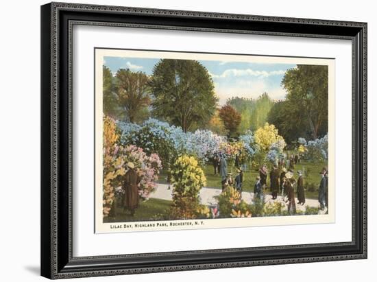 Lilac Day, Highland Park, Rochester, New York-null-Framed Premium Giclee Print