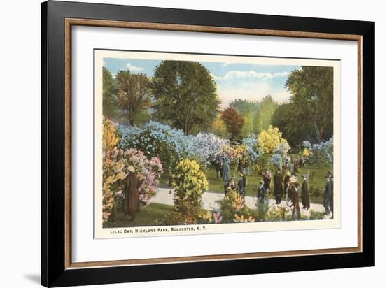 Lilac Day, Highland Park, Rochester, New York-null-Framed Art Print