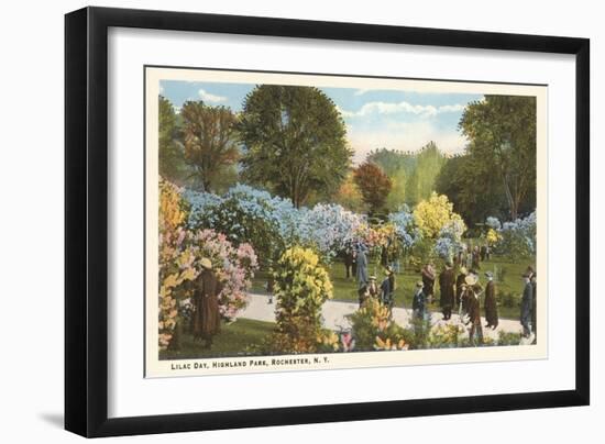 Lilac Day, Highland Park, Rochester, New York-null-Framed Art Print