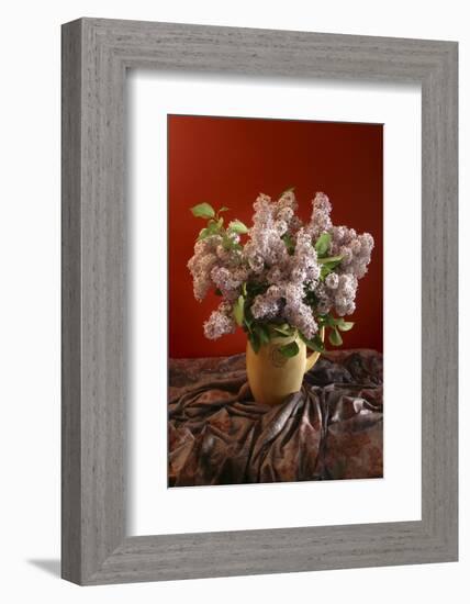 Lilac Flowers in Vase-Anna Miller-Framed Photographic Print