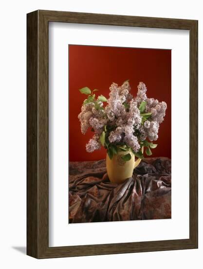 Lilac Flowers in Vase-Anna Miller-Framed Photographic Print