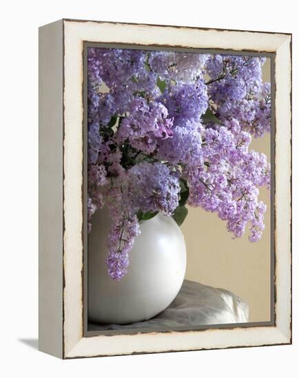 Lilac Flowers in Vase-Anna Miller-Framed Premier Image Canvas