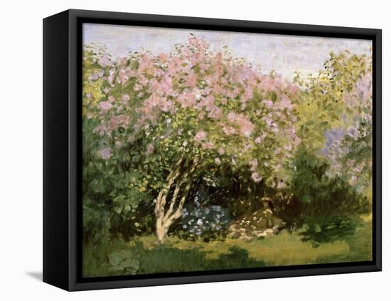 Lilac in the Sun, 1872-1873-Claude Monet-Framed Premier Image Canvas