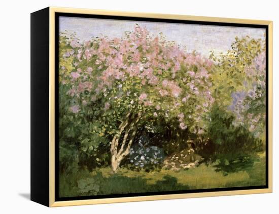 Lilac in the Sun, 1872-1873-Claude Monet-Framed Premier Image Canvas