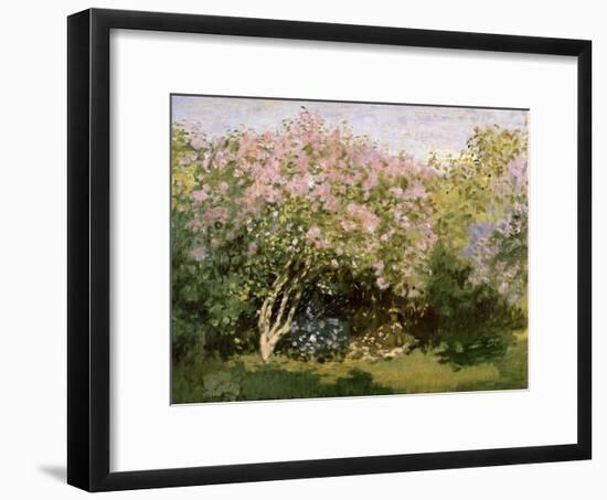 Lilac in the Sun, 1872-1873-Claude Monet-Framed Giclee Print