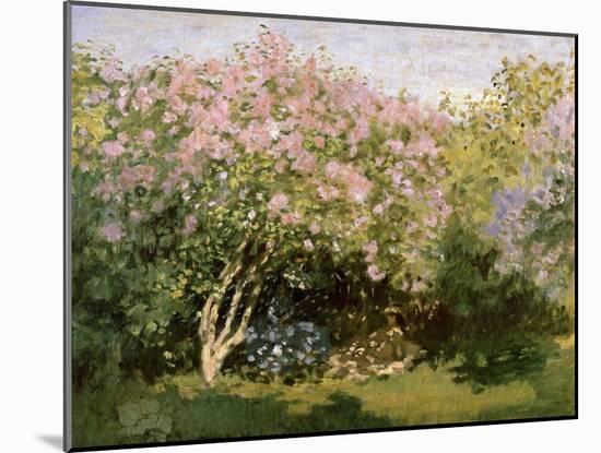 Lilac in the Sun, 1872-1873-Claude Monet-Mounted Giclee Print