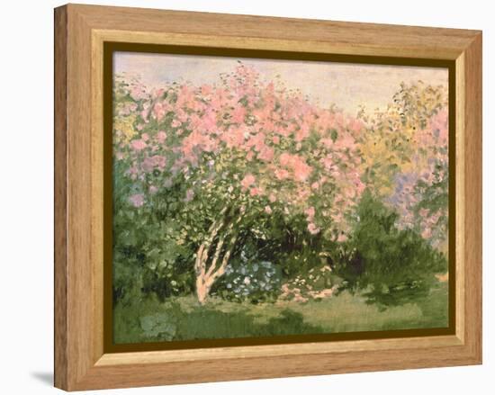 Lilac in the Sun, 1873-Claude Monet-Framed Premier Image Canvas