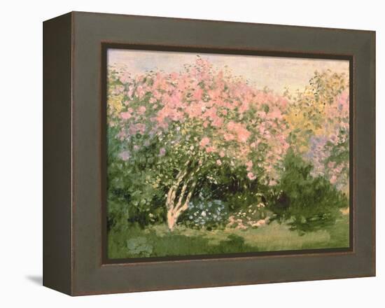 Lilac in the Sun, 1873-Claude Monet-Framed Premier Image Canvas