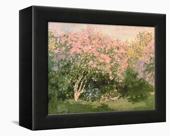 Lilac in the Sun, 1873-Claude Monet-Framed Premier Image Canvas