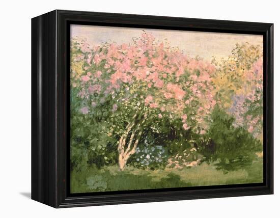 Lilac in the Sun, 1873-Claude Monet-Framed Premier Image Canvas