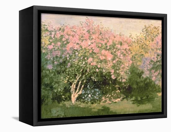 Lilac in the Sun, 1873-Claude Monet-Framed Premier Image Canvas